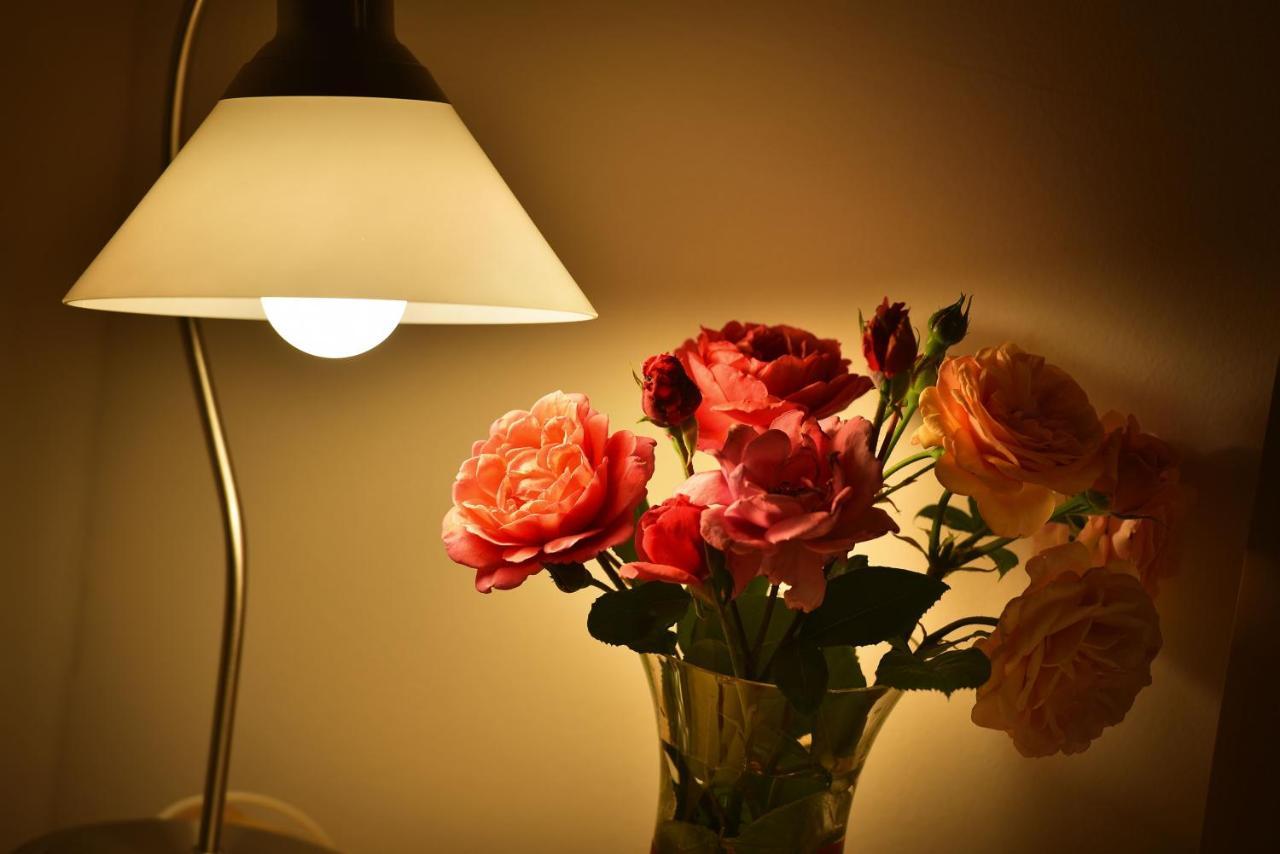 Apartamento Old Town Tyn *